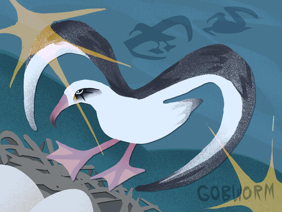 Paper cut out style illustration of an albatross flying into a nest with two eggs in it. The background is teal and there are two more albatrosses silhouetted in the background.
