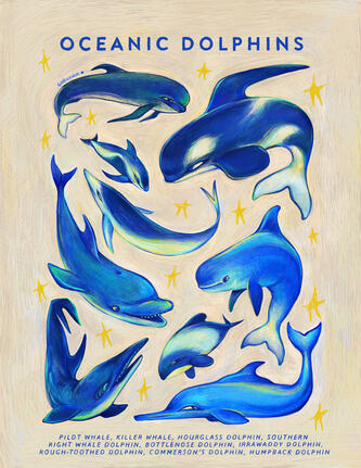 A stylized poster featuring oceanic dolphin species illustrated in blue, green, and white/yellow. There is a heading that says "Oceanic Dolphins" on the top, and a caption on the bottom that reads: "pilot whale, killer whale, hourglass dolphin, right whale