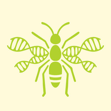 EDIAs project logo concept