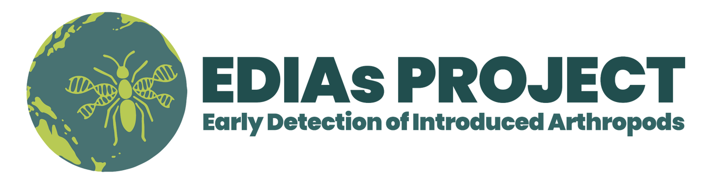 EDIAa Project Logo Design