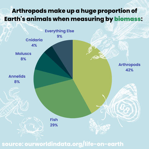 Instagram graphic describing the proportion of earth's animals measured by biomass that are arthropods with a pie chart. There is a light blue green color palette and white lined bug illustrations