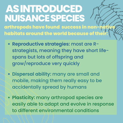 Instagram graphic with light blue and green color scheme, featuring facts about arthropods as introduced nuisance species