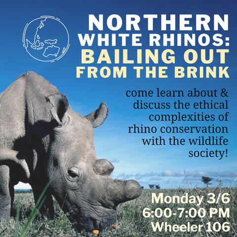 Instagram graphic for a wildlife society club event discussing northern white rhino extinction.