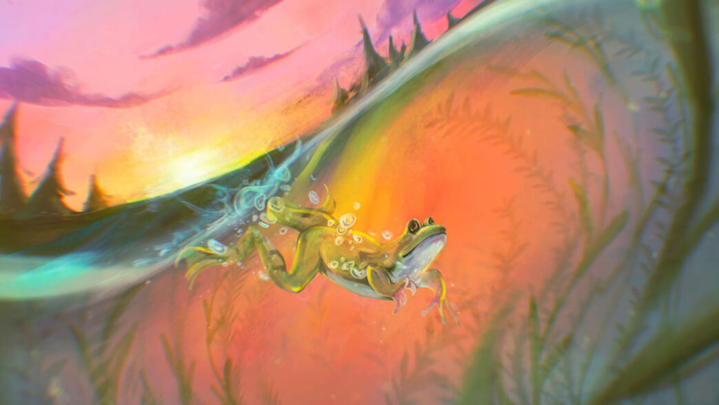 Painting of a frog diving into pond water with a sunset in the background.