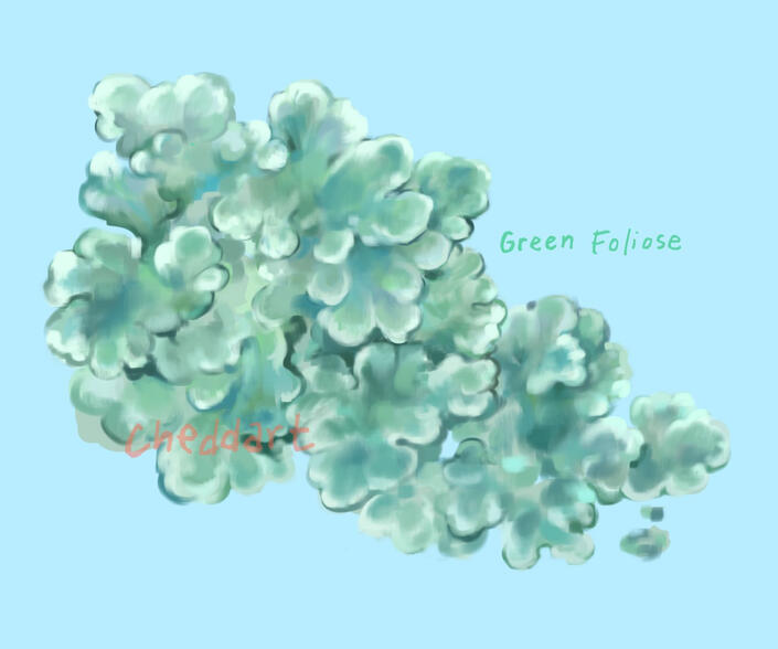 Painted illustration of a green foliose lichen on a light blue background