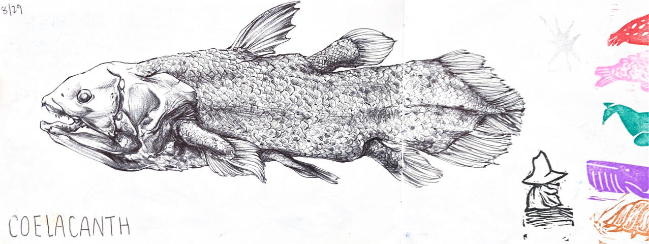 Coelacanth in ballpoint pen