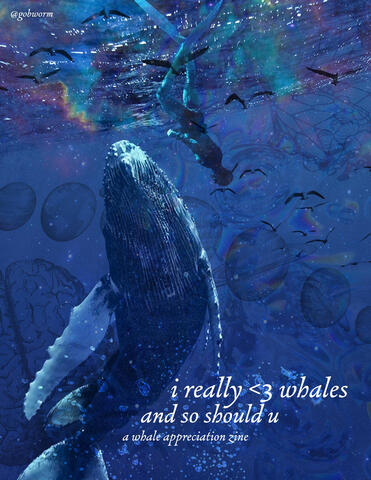 a whale appreciation zine a whale appreciation zine