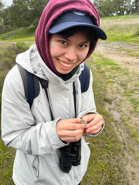 Photo of a young person with dark hair and medium light skin, a black septum piercing, blue star face stickers, wearing a dark blue baseball cap, a mauve hoodie, a light gray raincoat, and binoculars. They are holding a tiny frog in their hands.